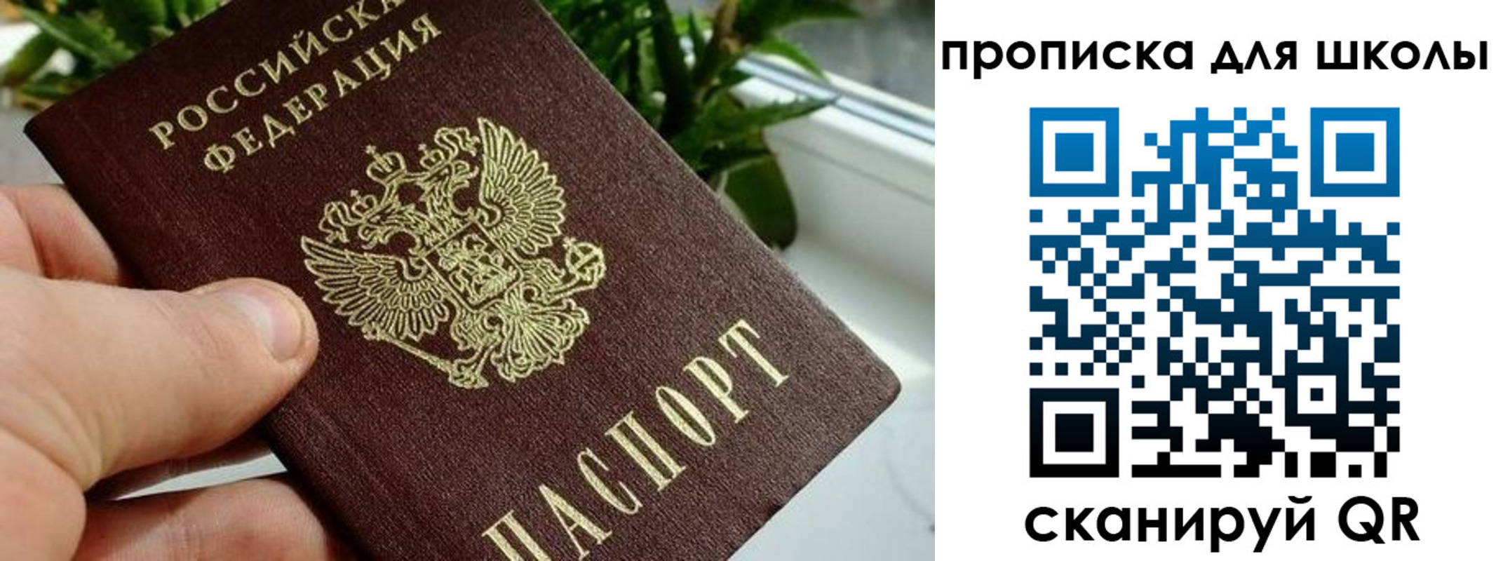 регистрация для дет. сада в Амурске